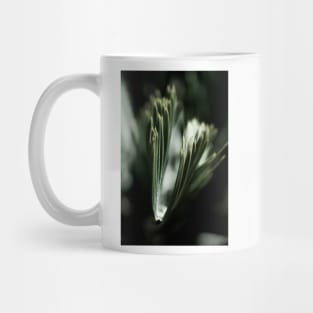 Palm Tree 03 Mug